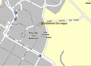 Hotel Catalonia Oro Negro Playa de las Américas