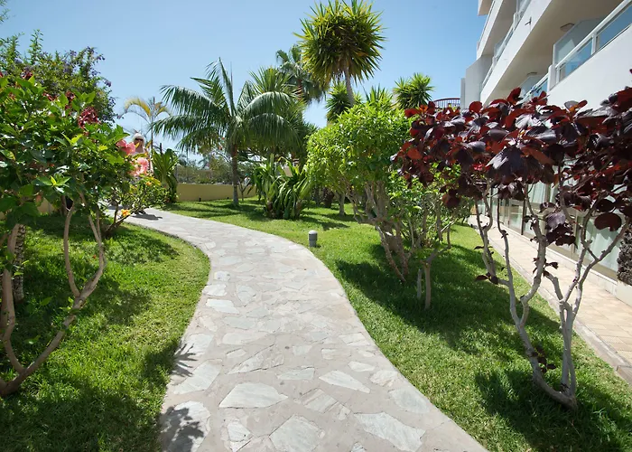 Catalonia Oro Negro 3* Playa de las Americas (Tenerife)