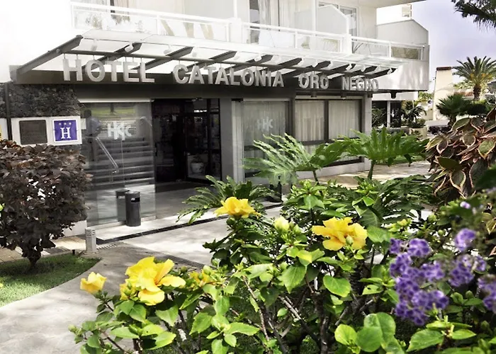 Hotel Catalonia Oro Negro 3*